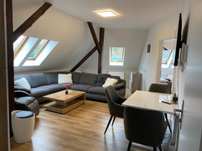 FeWo WIEKO Plauen Leibnizstr. H1 DG Mitte